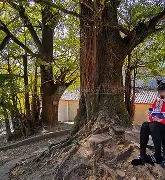 包含Misfits血洗Excel，Meiko2高光表现的词条