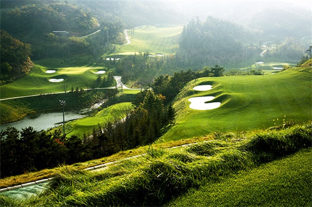 爱游戏娱乐-高尔夫盘口突变，业内人士深度分析