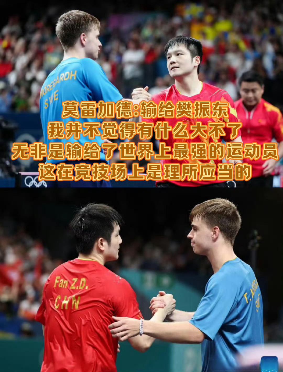 德国队鏖战波兰队，樊振东关键制胜