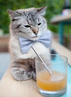 静水流深,利物浦的精密机械如何湮没迪马利亚的逆焰