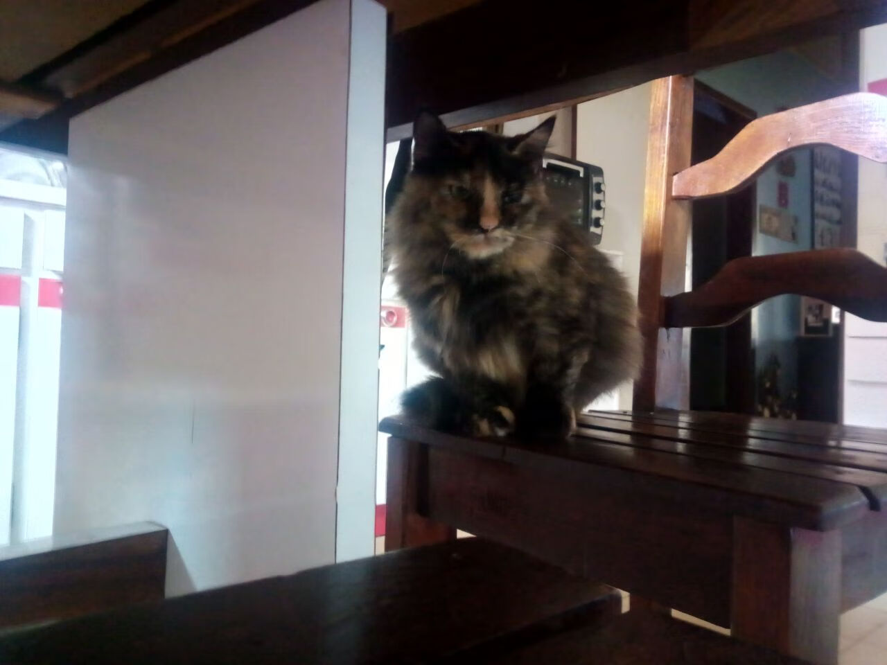 橙色风暴与孤胆英雄，拜仁逆转丹麦之夜，萨内一箭定江山