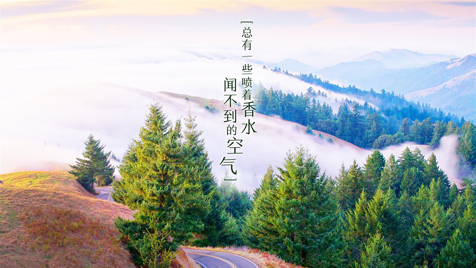 帕尔默孤星闪耀非洲夜,克罗地亚黄金一代的叹息与新生