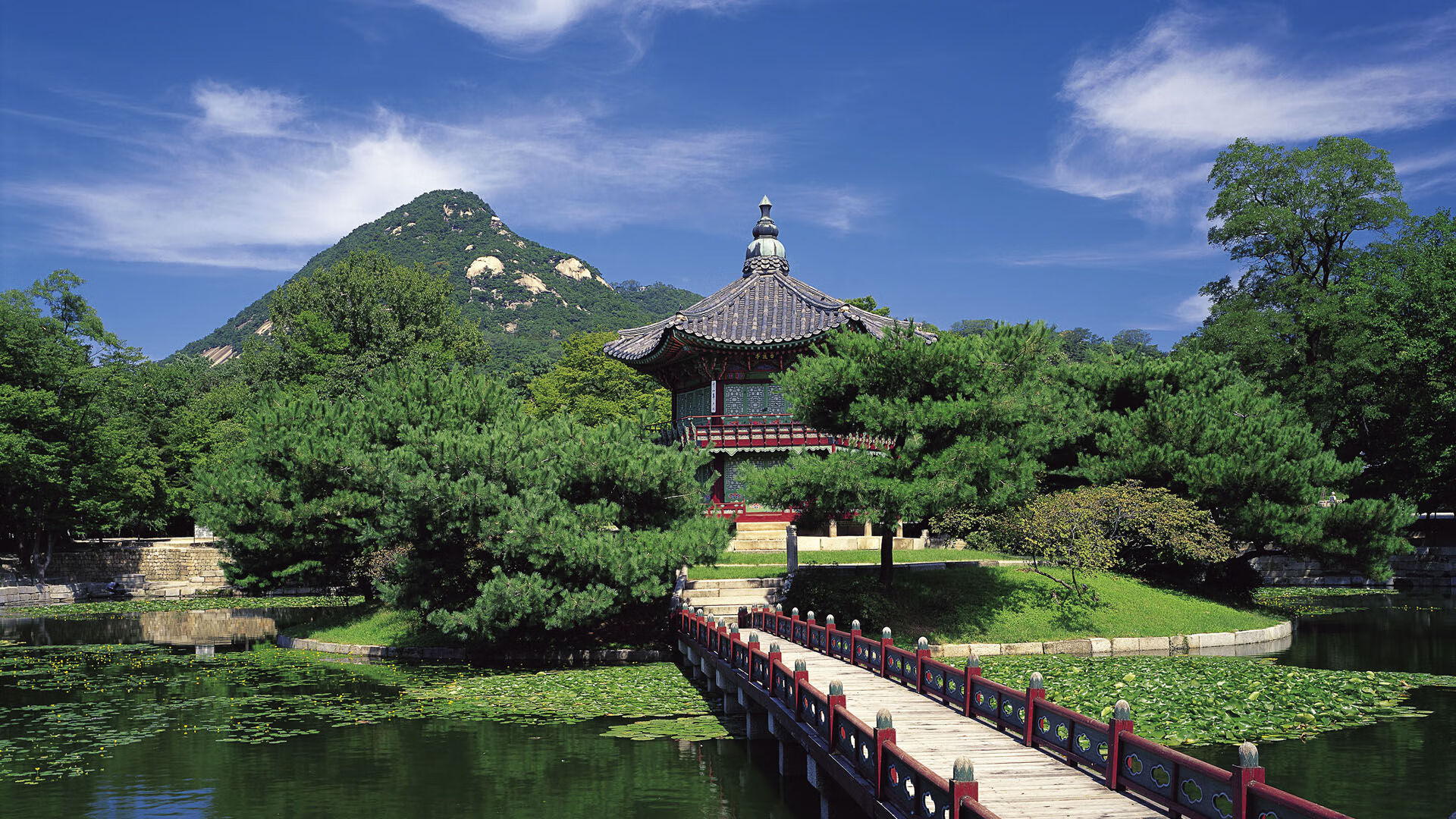 新秩序,当足球金字塔被推倒—2026世界杯G组,印度如何以瑜伽式足球碾碎星条旗