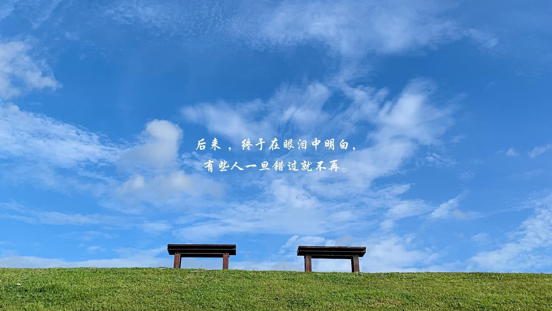 孤星耀世,卢卡库的救赎之夜,如何定义2026世界杯B组唯一剧本