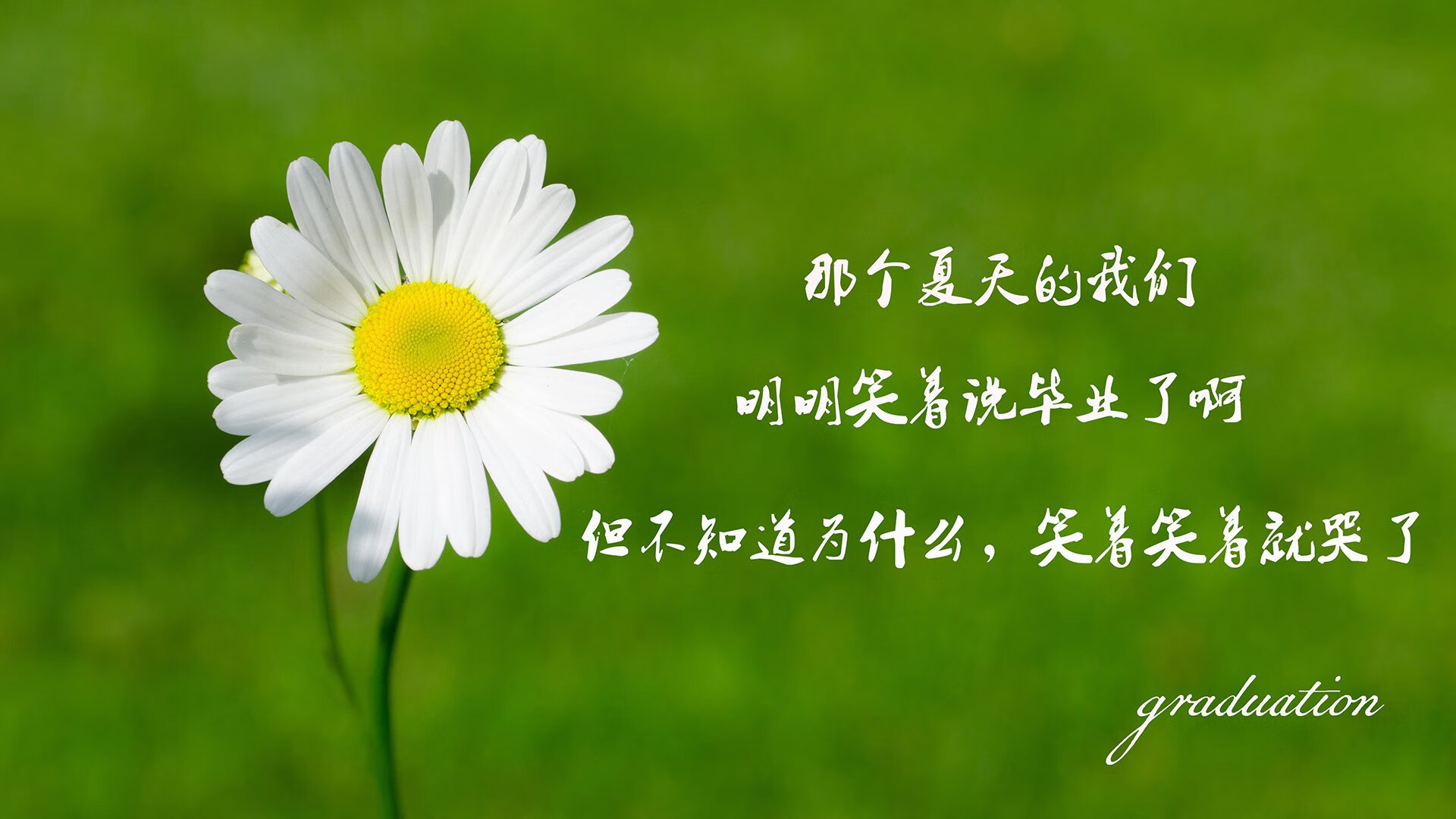最后一秒的呼吸—2026世界杯C组,德国绝杀匈牙利,巴雷拉完成致命一击