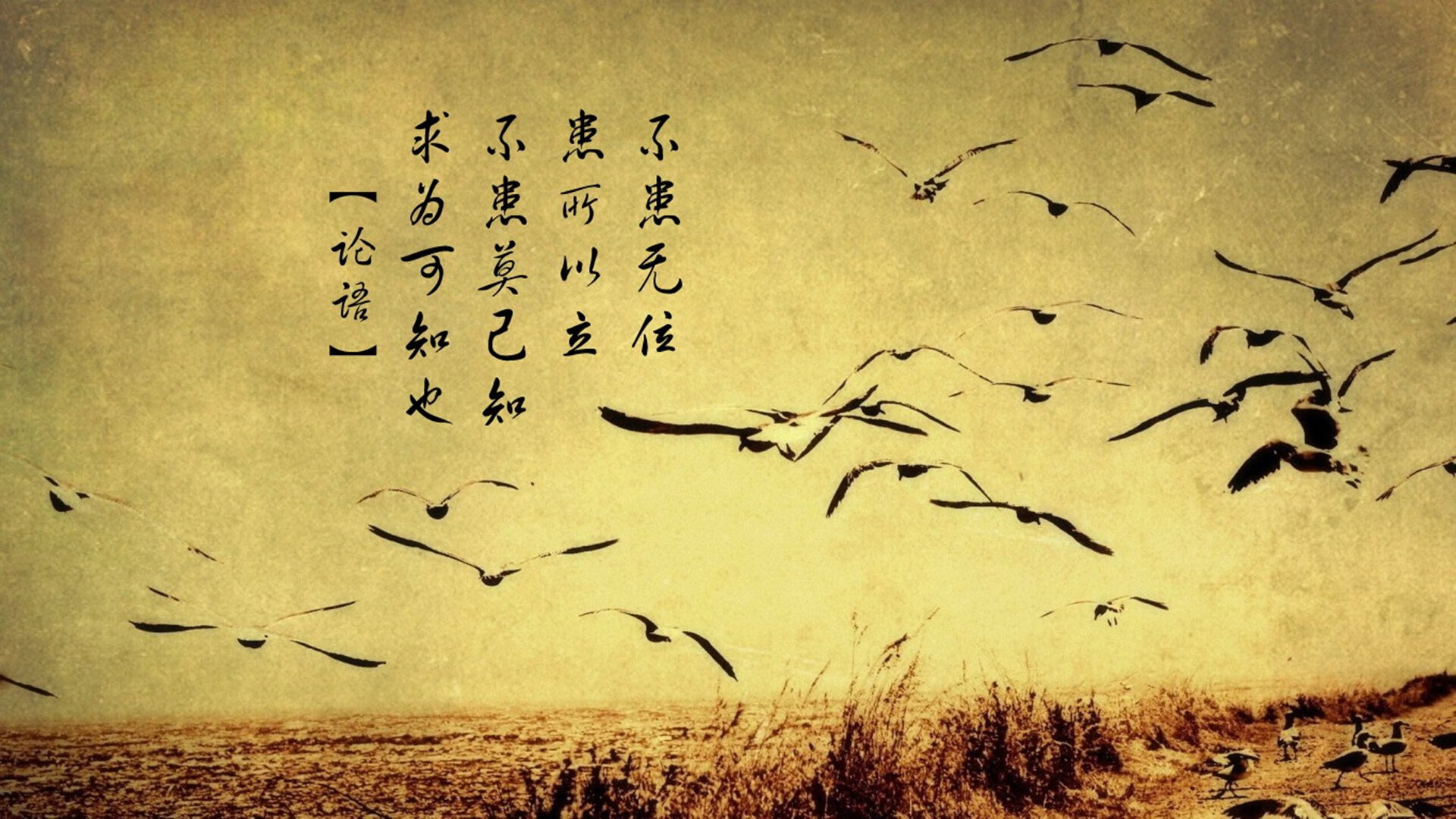 沙漠孤狼与高原铁骑，2026世界杯H组，阿方索·戴维斯那记击穿命运的致命一击