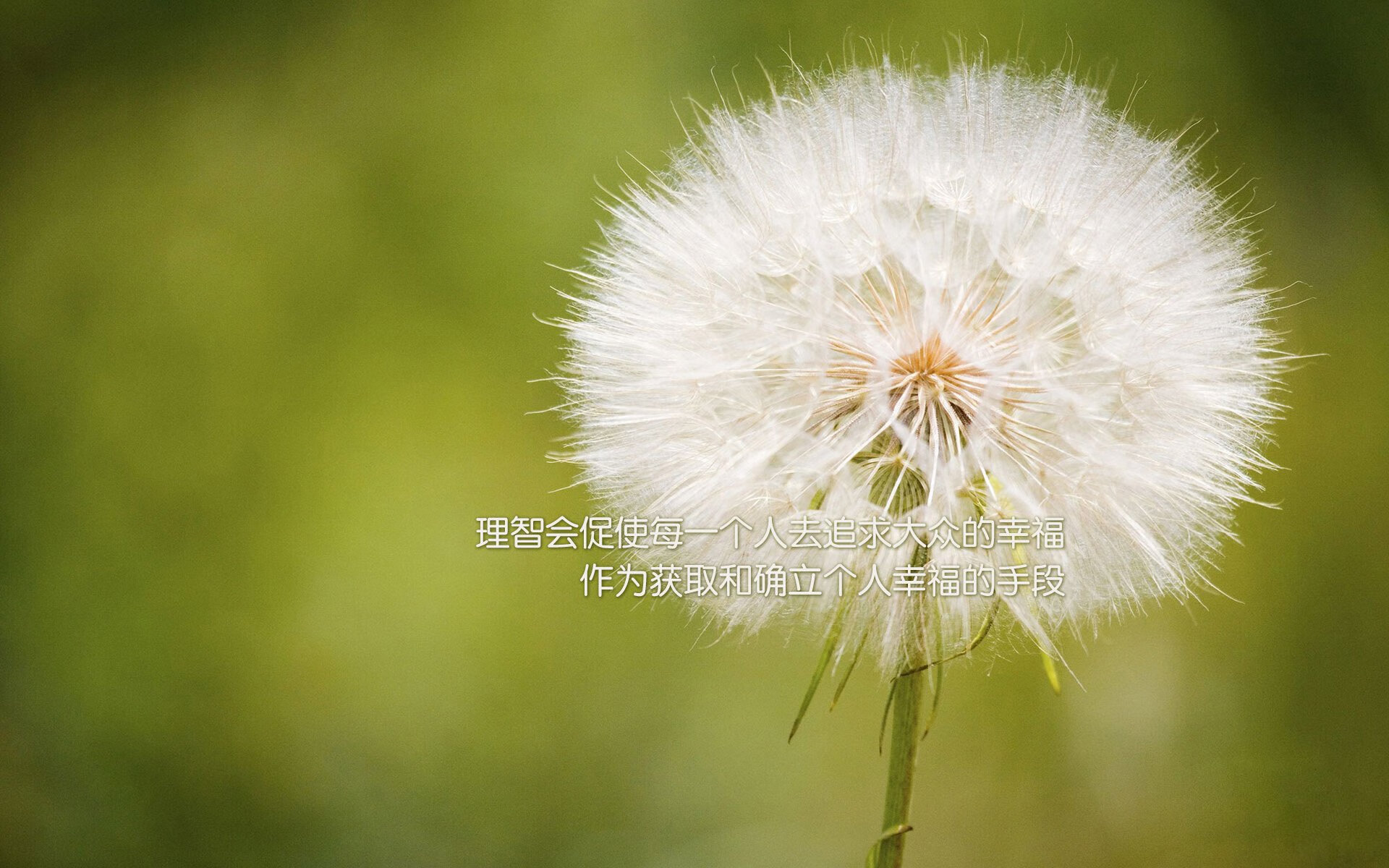 唯一剧本，当坎塞洛的右翼撕裂曼谷，波兰用一场非典型胜利定义E组唯一法则